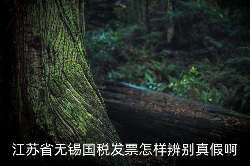 如何查詢無(wú)錫國(guó)稅發(fā)票真?zhèn)尾樵?，江蘇省無(wú)錫國(guó)稅發(fā)票怎樣辨別真假啊