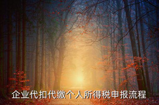 網(wǎng)上如何進(jìn)入代扣代繳申報，企業(yè)代扣代繳個人所得稅申報流程