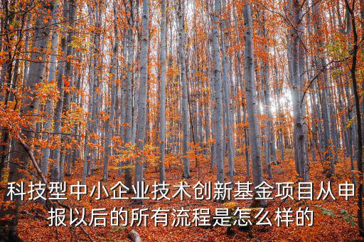 科技型優(yōu)惠如何備案，研發(fā)費(fèi)用加計(jì)扣除優(yōu)惠備案的要點(diǎn)有哪些