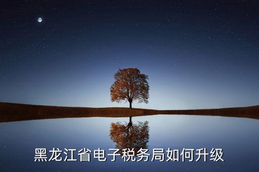 如何升級國稅系統(tǒng)，河南省電子稅務(wù)局版本過低怎么升級