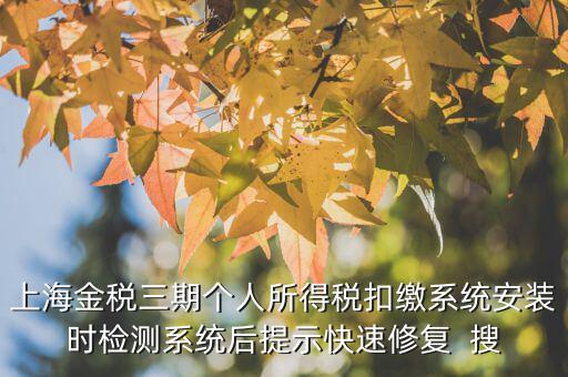 個(gè)稅安裝包如何恢復(fù)，上海金稅三期個(gè)人所得稅扣繳系統(tǒng)安裝時(shí)檢測(cè)系統(tǒng)后提示快速修復(fù)  搜