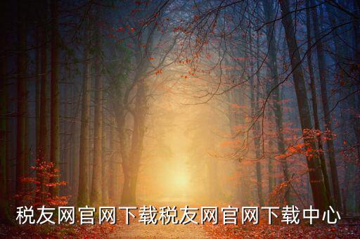 稅友如何下載，個稅在稅友網(wǎng)上下載下來了然后怎么安裝