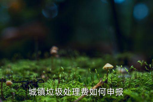 城市生活垃圾費(fèi)如何申報(bào)，城鎮(zhèn)垃圾處理費(fèi)如何申報(bào)