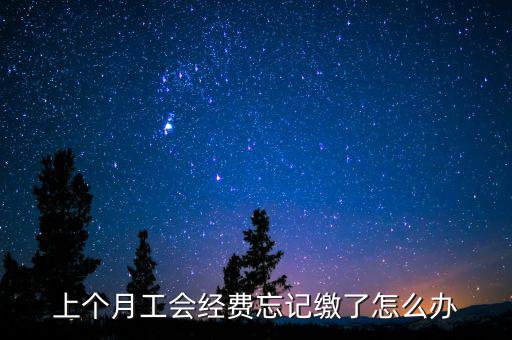 如何補(bǔ)繳上月工會經(jīng)費(fèi)地稅，工會經(jīng)費(fèi)上月已申報但未繳費(fèi)本月可以補(bǔ)交嗎在哪里補(bǔ)交是在報稅系統(tǒng)