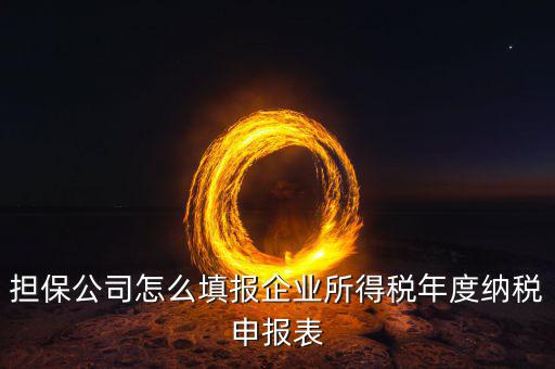 保險公司如何納稅申報，保險代理公司怎么向地稅申請代開發(fā)票
