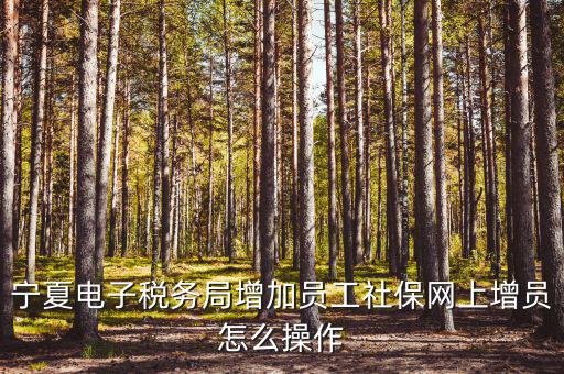 寧夏電子稅務(wù)系統(tǒng)如何開通，開通電子稅務(wù)局需要帶些什么東西去稅務(wù)局才能開通