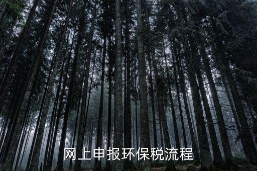 電子稅務(wù)局環(huán)保稅如何申報(bào)，2021年環(huán)保稅怎么申報(bào)