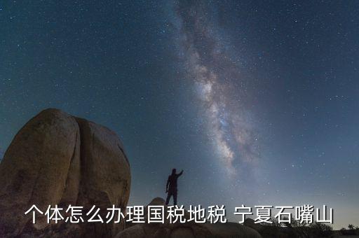 寧夏個(gè)稅如何申報(bào)，個(gè)體怎么辦理國(guó)稅地稅 寧夏石嘴山