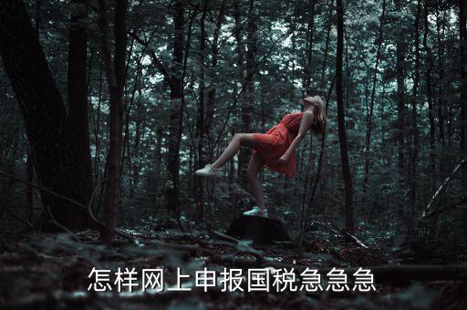 國(guó)稅網(wǎng)上稅務(wù)如何申報(bào)，怎樣網(wǎng)上申報(bào)國(guó)稅急急急