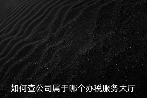 如何查公司屬于哪個辦稅服務大廳