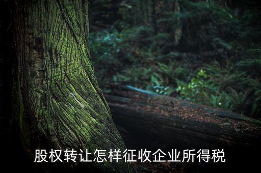 股權轉(zhuǎn)讓怎樣征收企業(yè)所得稅