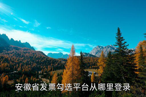 安徽省如何在網(wǎng)上申請(qǐng)購(gòu)發(fā)票，安徽省發(fā)票勾選平臺(tái)從哪里登錄