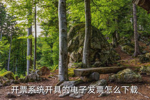發(fā)票助手如何安裝在手機(jī)上，增值稅發(fā)票稅控開(kāi)票軟件怎么安裝