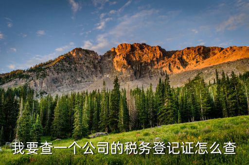 如何查詢(xún)稅務(wù)登記表，稅務(wù)登記證查詢(xún)