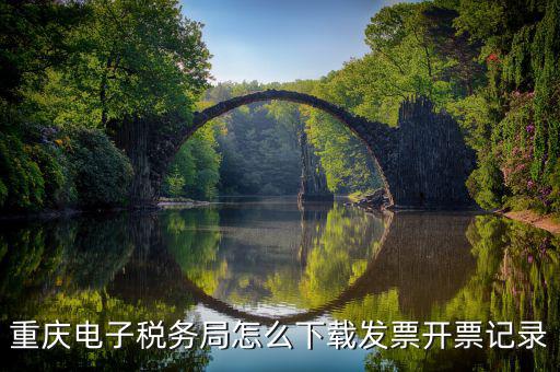 重慶電子稅務(wù)局怎么下載發(fā)票開(kāi)票記錄
