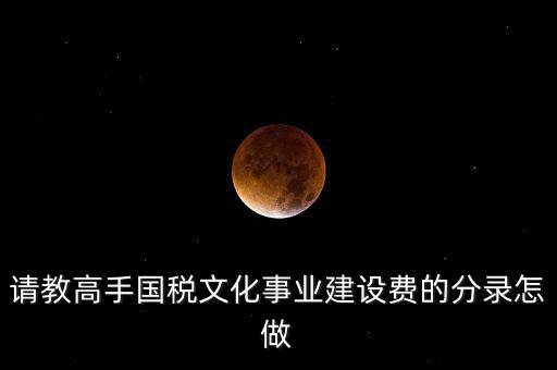 請教高手國稅文化事業(yè)建設費的分錄怎做