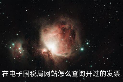 在電子國(guó)稅局網(wǎng)站怎么查詢開過(guò)的發(fā)票