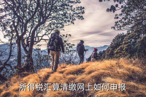 清稅申請(qǐng)如何在云稅廳申請(qǐng)，網(wǎng)上企業(yè)所得稅匯算清繳如何申報(bào)