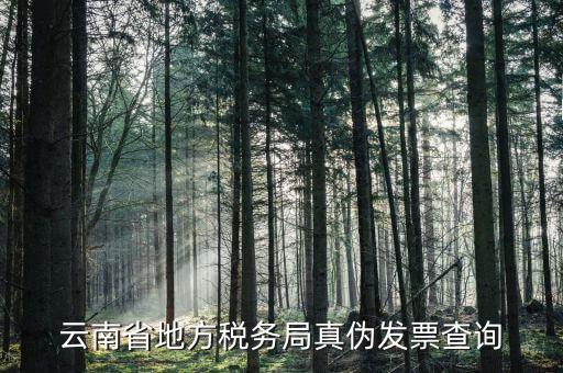 如何查詢?cè)颇蠂?guó)稅發(fā)票真?zhèn)尾樵?，云南省地方稅?wù)局真?zhèn)伟l(fā)票查詢