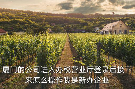 廈門公司如何辦理稅務(wù)，廈門公司如何申請一般納稅人