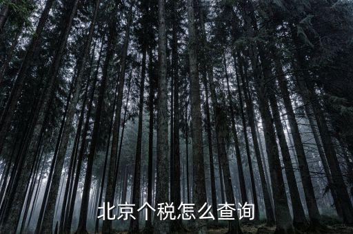 北京地稅局官網(wǎng)如何查個(gè)稅，怎么查詢最新北京個(gè)稅繳納情況