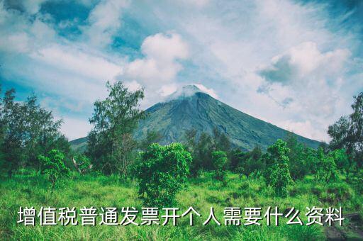 增值稅普通發(fā)票開個(gè)人需要什么資料