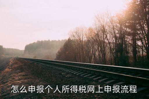 泉州個人所得稅如何網(wǎng)上申報，個人所得稅網(wǎng)上申報步驟
