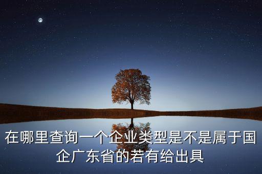 單位類型如何查詢，如何查詢企業(yè)管理類別