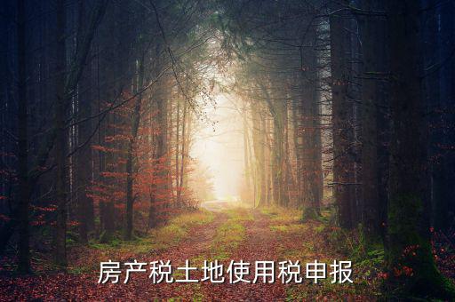 金稅三期如何申報(bào)土地使用稅，房產(chǎn)稅土地使用稅申報(bào)