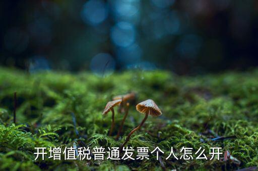 普票如何開給個人，增值稅普通發(fā)票開個人需要什么資料