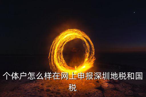 深圳市個(gè)稅如何申報(bào)系統(tǒng)，個(gè)體戶怎么樣在網(wǎng)上申報(bào)深圳地稅和國(guó)稅