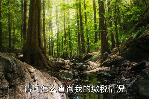 繳納稅款如何查詢，請問怎么查詢我的繳稅情況