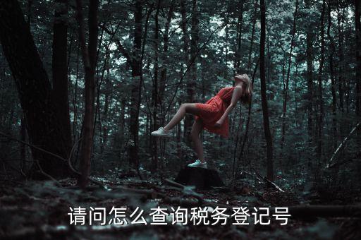 請(qǐng)問(wèn)怎么查詢稅務(wù)登記號(hào)