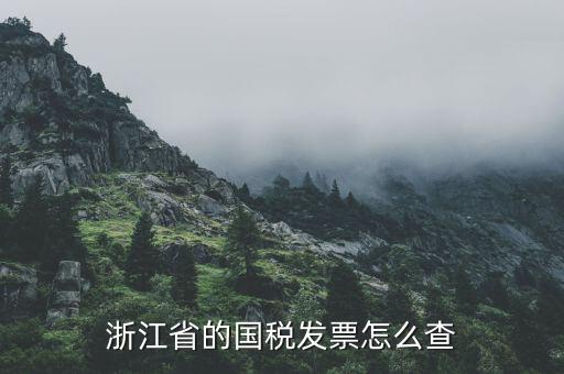 浙江的定額發(fā)票如何查詢，浙江省的國稅發(fā)票怎么查