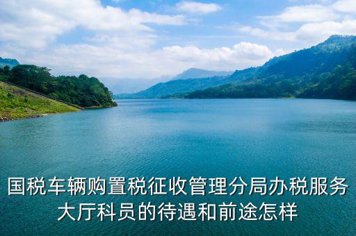 辦稅員工資如何，國(guó)稅車輛購(gòu)置稅征收管理分局辦稅服務(wù)大廳科員的待遇和前途怎樣