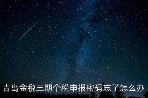如何重置金三個(gè)稅系統(tǒng)申報(bào)密碼，青島金稅三期個(gè)稅申報(bào)密碼忘了怎么辦