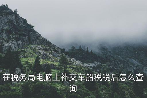 如何在電子稅務(wù)局上查詢稅種，在稅務(wù)局電腦上補交車船稅稅后怎么查詢