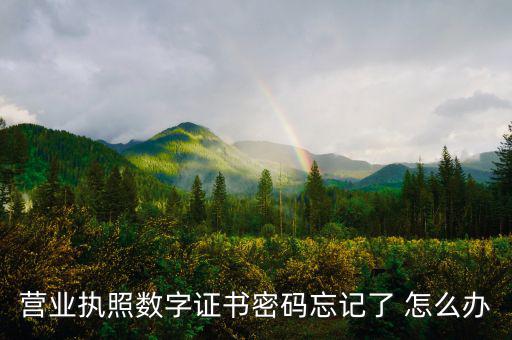 如何找回?cái)?shù)字證書密碼，營業(yè)執(zhí)照數(shù)字證書密碼忘記了 怎么辦