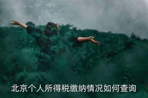北京地稅個(gè)人如何查詢，如何查詢個(gè)人所得稅繳稅記錄