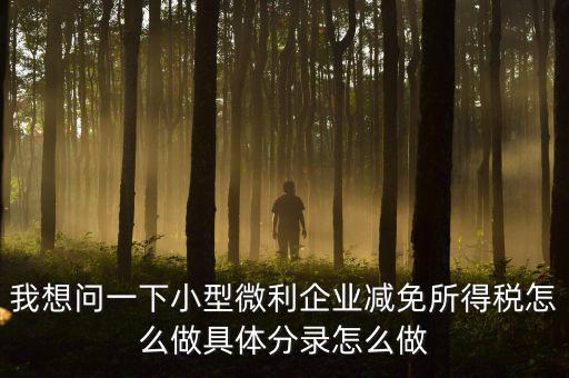 小微企業(yè)所得稅如何減免，我想問一下小型微利企業(yè)減免所得稅怎么做具體分錄怎么做
