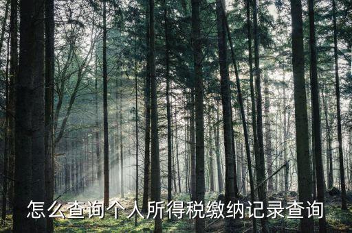 沈陽如何查個(gè)人所得稅繳費(fèi)明細(xì)，如何查詢個(gè)人所得稅申報(bào)明細(xì)情況