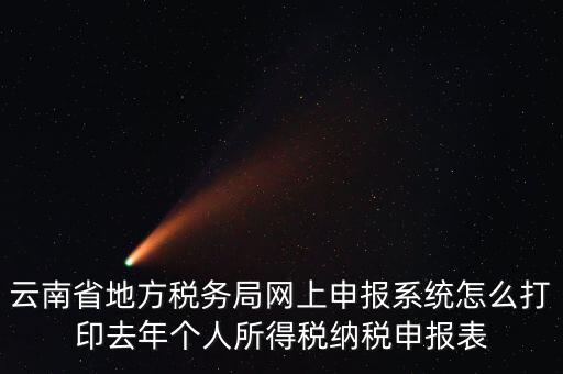 云南省地方稅務(wù)局網(wǎng)上申報(bào)系統(tǒng)怎么打印去年個人所得稅納稅申報(bào)表