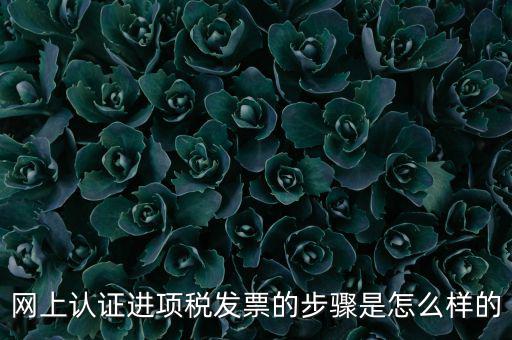 網上認證進項稅發(fā)票的步驟是怎么樣的