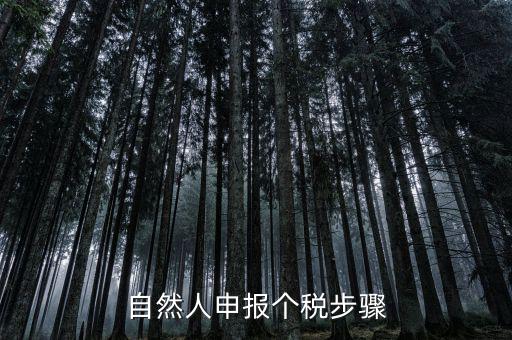 自然人稅收如何申報表，自然人申報個稅步驟