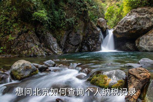 如何查詢北京納稅申報(bào)，納稅申報(bào)表在哪里查詢