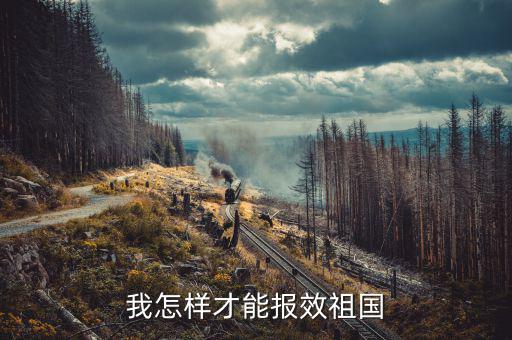 開的稅如何報效，報效祖國最好的辦法是什么