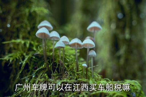 江西省車船稅如何查詢系統(tǒng)，江西怎么查詢自己的駕照