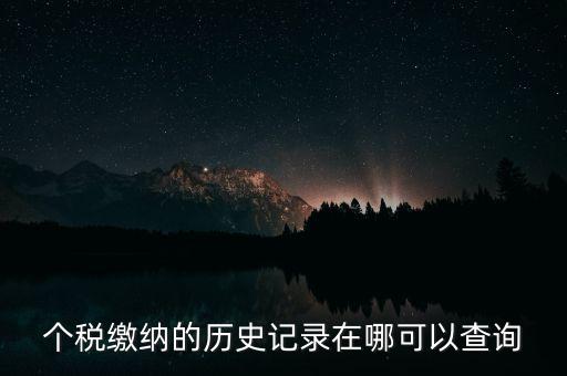 如何查詢個人所得稅繳費(fèi)記錄，怎么查詢最新個人所得稅繳納記錄