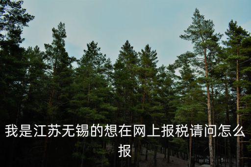 我是江蘇無錫的想在網上報稅請問怎么報