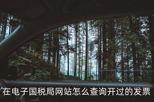 如何查詢電子發(fā)票信息，在電子國稅局網(wǎng)站怎么查詢開過的發(fā)票